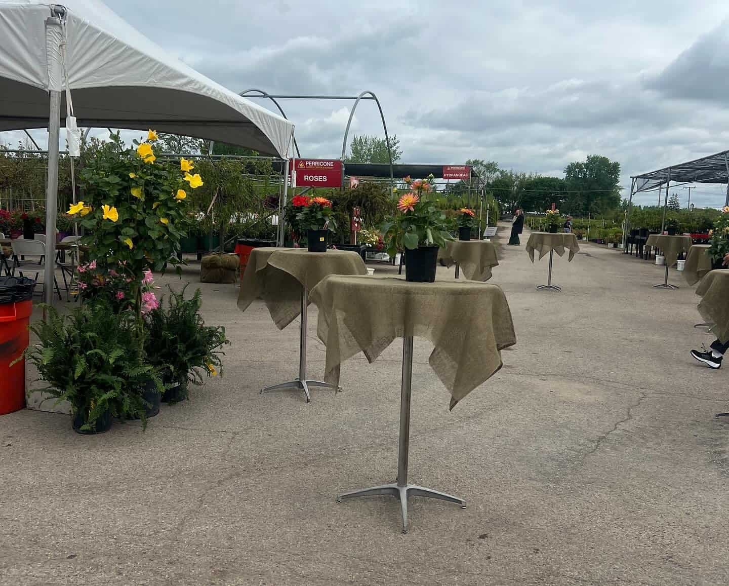 Nursery Garden Flowers