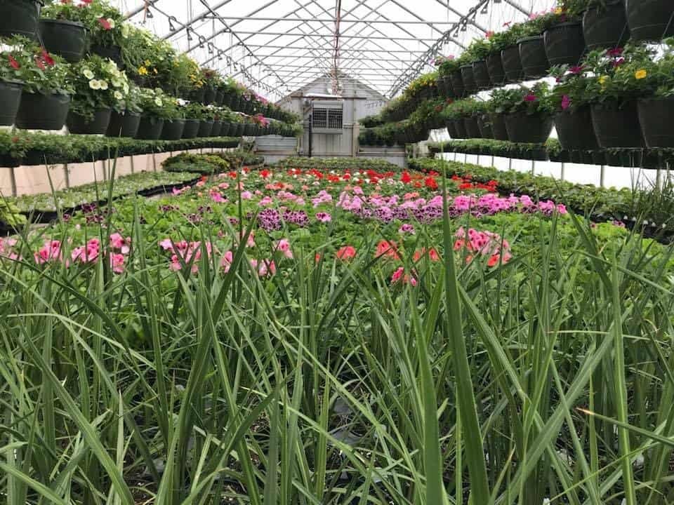 Garden Center
